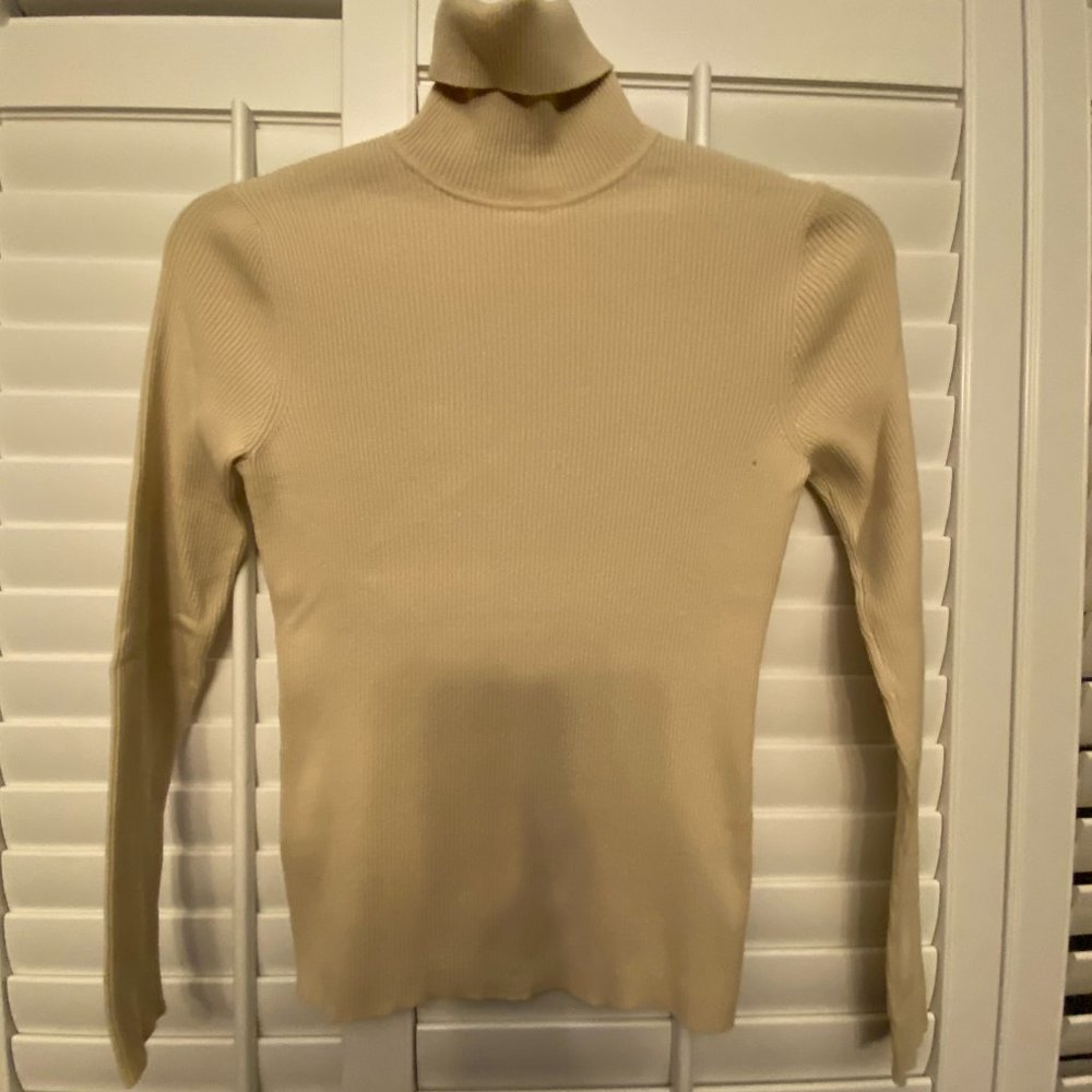 Ana Taylor Turtle Neck Sweater, size S